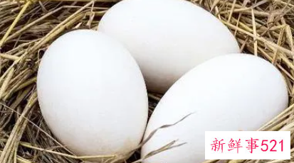孕妇鹅蛋多久吃一个