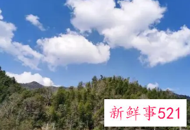 劳动带给我们的好处