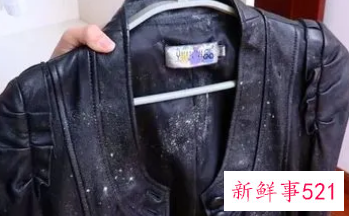 毛布衣服发亮了怎么办