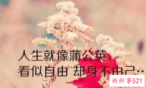 人生感悟经典语录