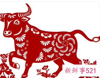 婚姻最享福受宠生肖女