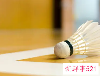 羽毛球比赛规则有哪些
