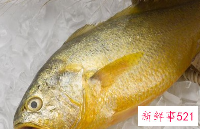 黄花鱼保鲜采用什么冷冻方式