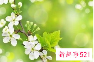 人踏入社会必须懂的道理