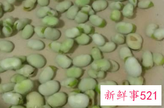 新鲜蚕豆怎么炒好吃