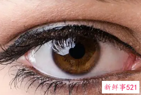 梦见瞳孔是什么意思