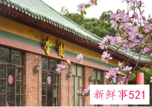 广东双一流大学名单