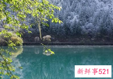 狮子座幸运的颜色