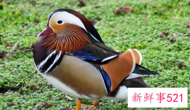 心里烦怎么调整自己