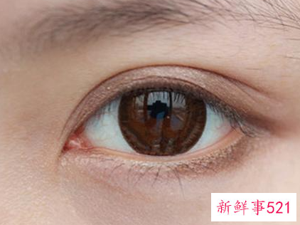 初学者淡妆眼影画法