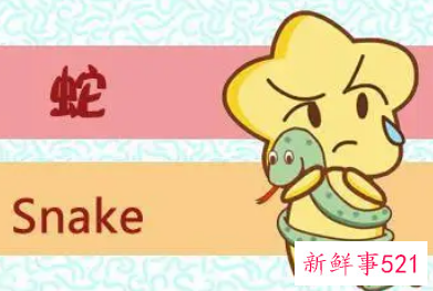 生肖蛇女旺夫吗
