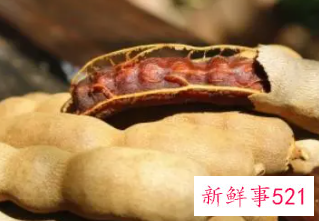 酸角的功效与作用