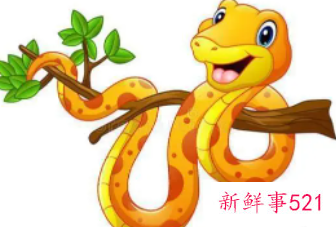 属蛇的性格特点