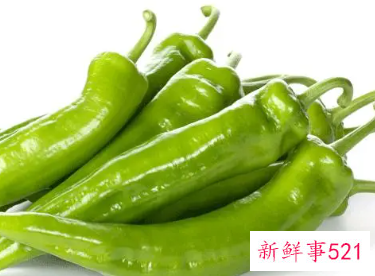 梦见青辣椒说明什么