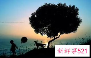 梦见自己在奔丧