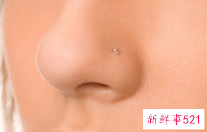 适合圆脸隆鼻图片