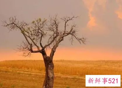 梦见好久不见的朋友是什么意思