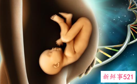 什么样的人群不适合吃人参