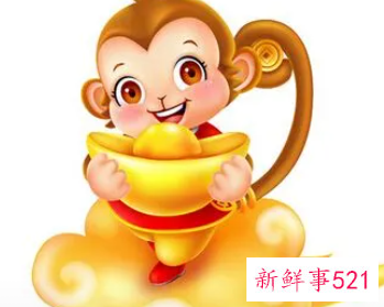 属猴的客厅放什么植物好