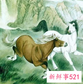 属马用什么名字旺财