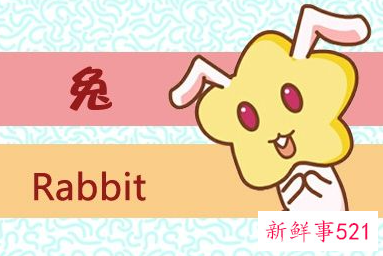 1987属兔的一生财运