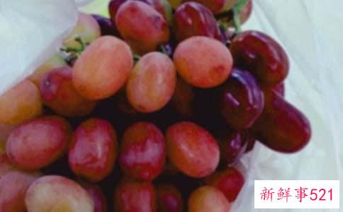 冬天吃什么水果好