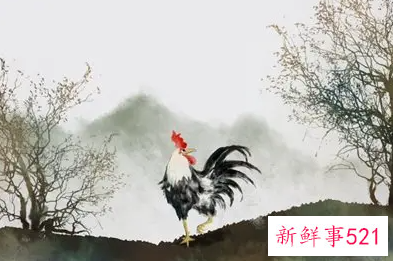 93年鸡女一生姻缘