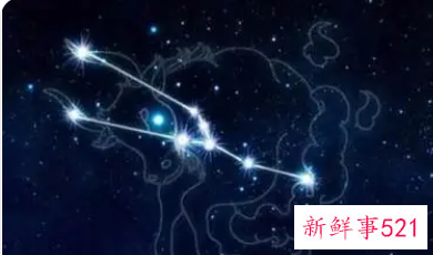 为什么金牛能看透人心