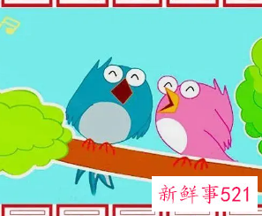 小鸟飞到窗口的暗示