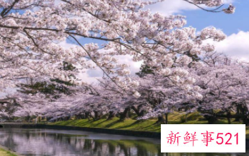 同时拥有双鱼座和水瓶座的人是什么样的人