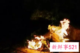 烧百日是提前还是往后好