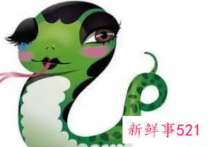 属蛇女魅力吸引哪些生肖男