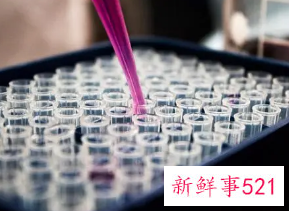 国产PD-1出海“闯关”FDA受挫