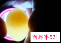 怎么样才知道鸡蛋有没有受精
