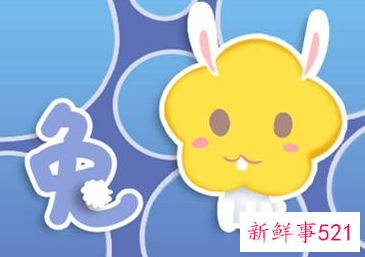 1987属兔的一生财运