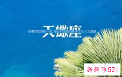 天蝎男很会撩妹吗