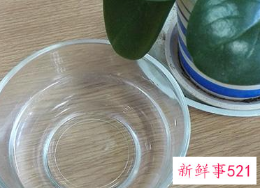 阴阳水的正确喝法