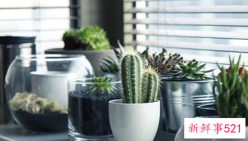 办公室不能放什么东西