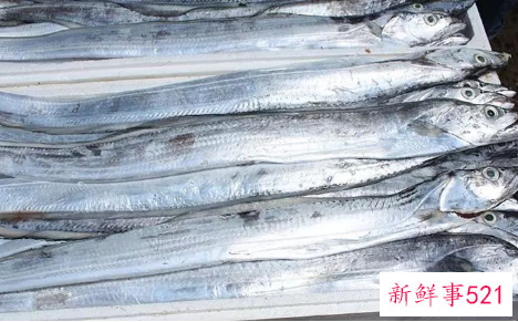 什么鱼营养价值最高又便宜