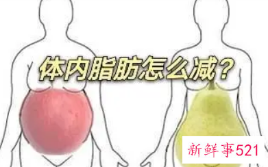 跳绳减内脏脂肪效果