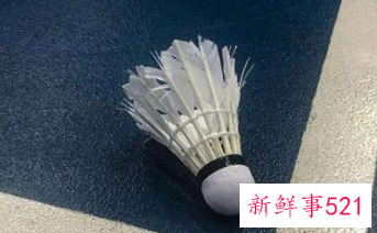 打羽毛球的规则