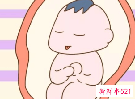 准爸爸如何和胎宝宝对话早教