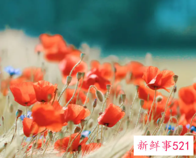 告别夏天迎接秋天的说说