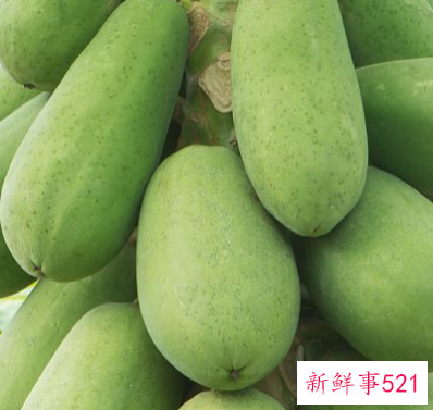 青芒果的最佳保存方法