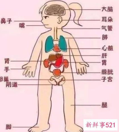 怎样对女孩子进行正确的性教育