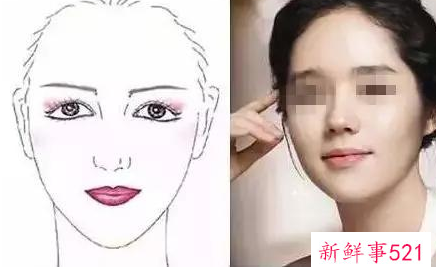 适合圆脸隆鼻图片