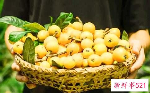 枇杷的营养价值和作用