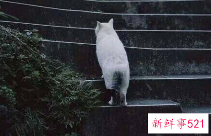 恋爱中如何维持感情