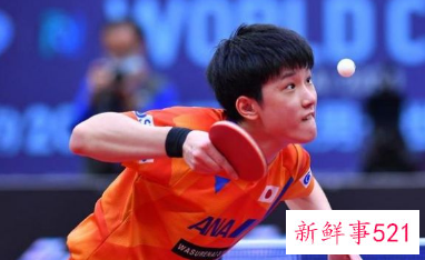 张本智和2-3提前出局,日本男单全军覆没