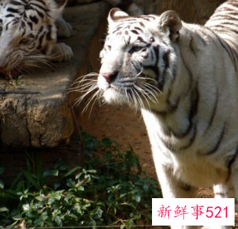 适合小孩玩的地方是哪里呢